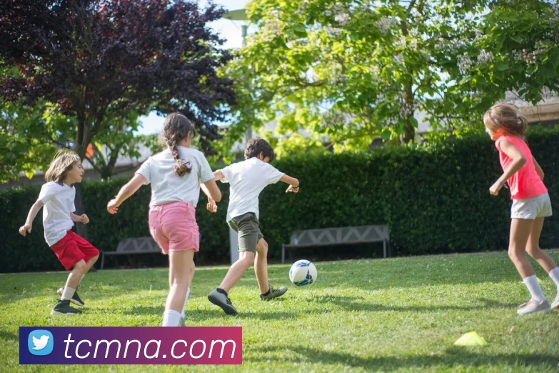 多媒体互动体验