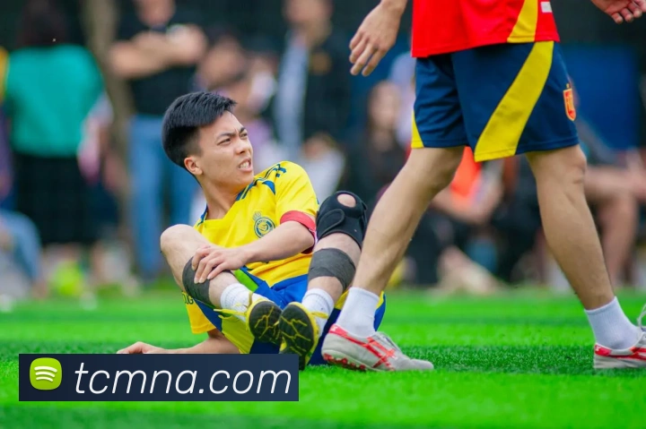 HB火博APP 高清赛事图